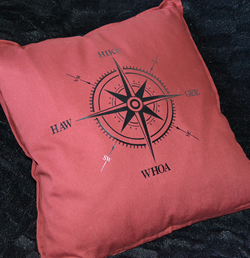 Compass Cushion